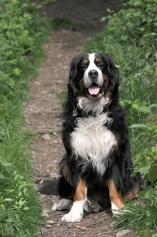 Anton D31_0127 Kopie.jpg   26.04.jpg